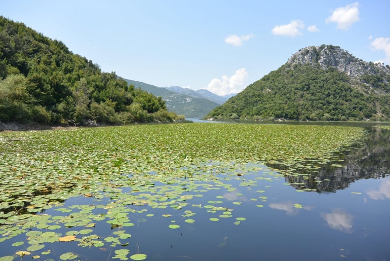 Skadar Gölü